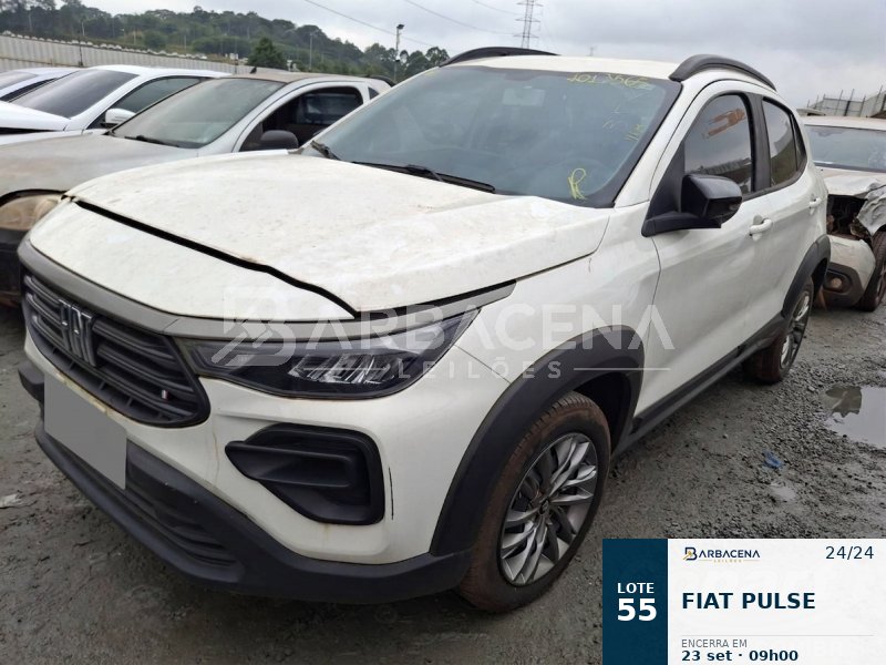 Lote 55