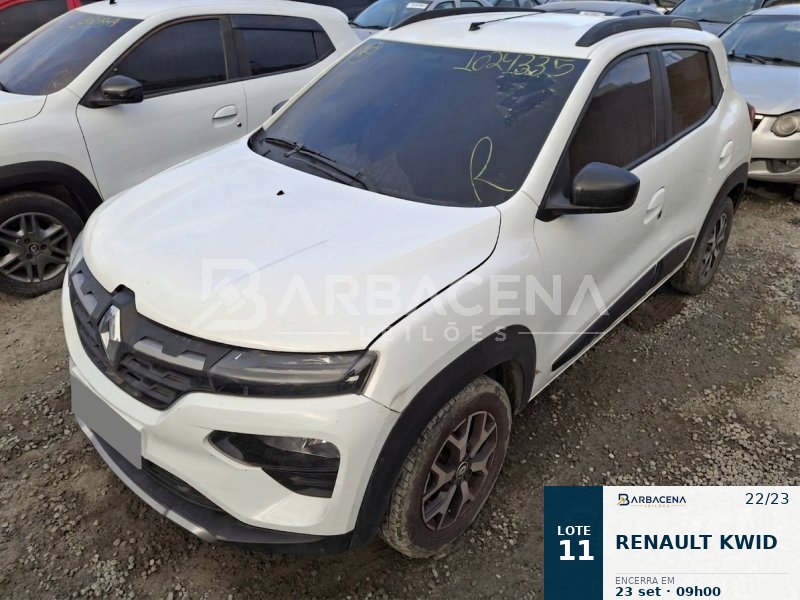 Lote 11