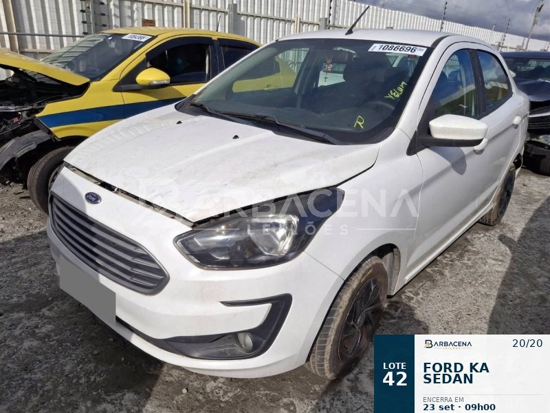 Lote 42
