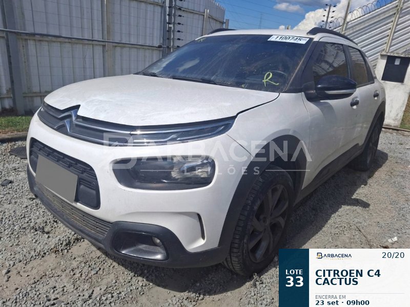 Lote 33
