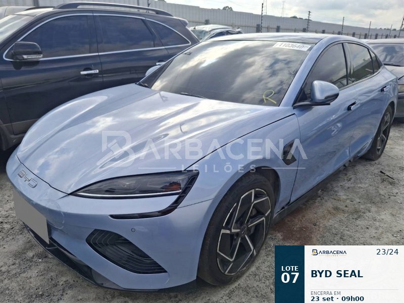 Lote 7