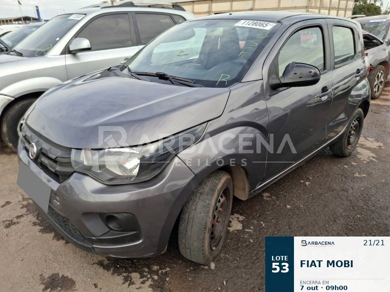 Lote 53
