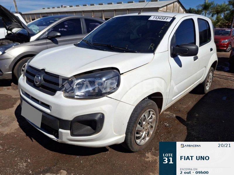 Lote 31