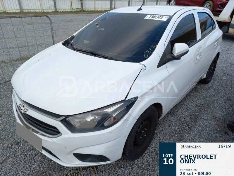 Lote 10