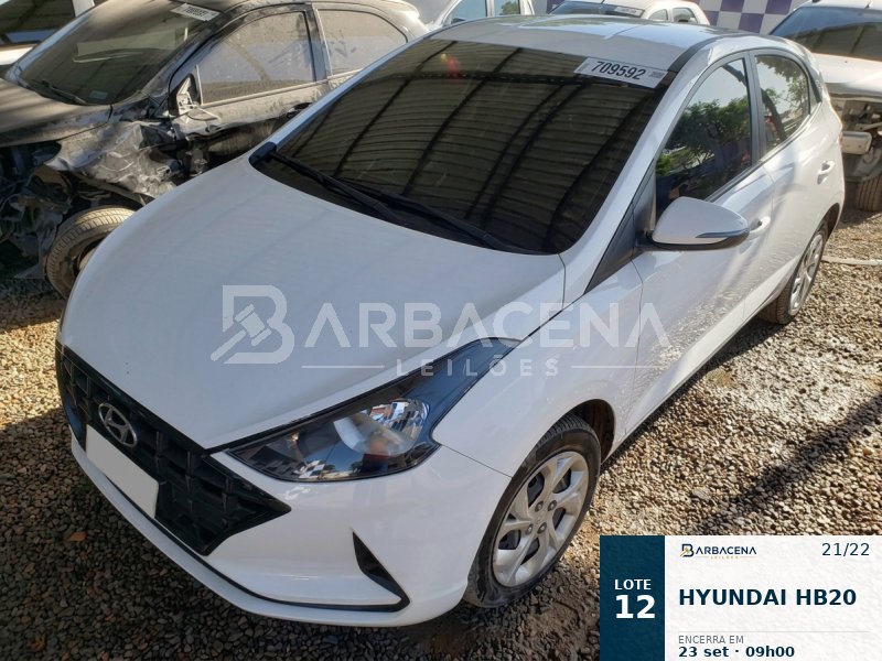 Lote 12