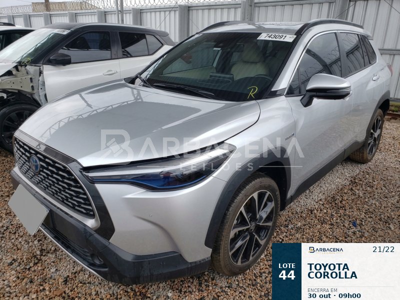 Lote 44