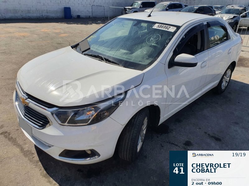 Lote 41