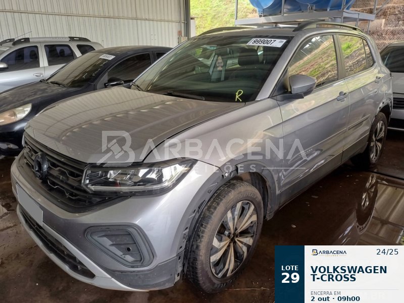 Lote 29