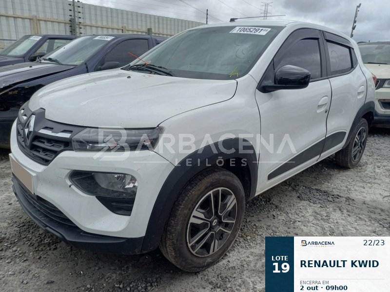 Lote 19