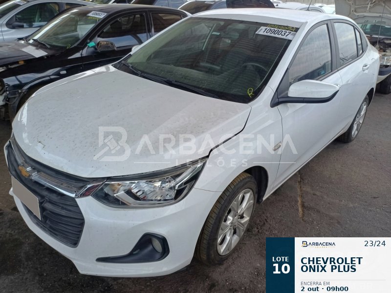 Lote 10