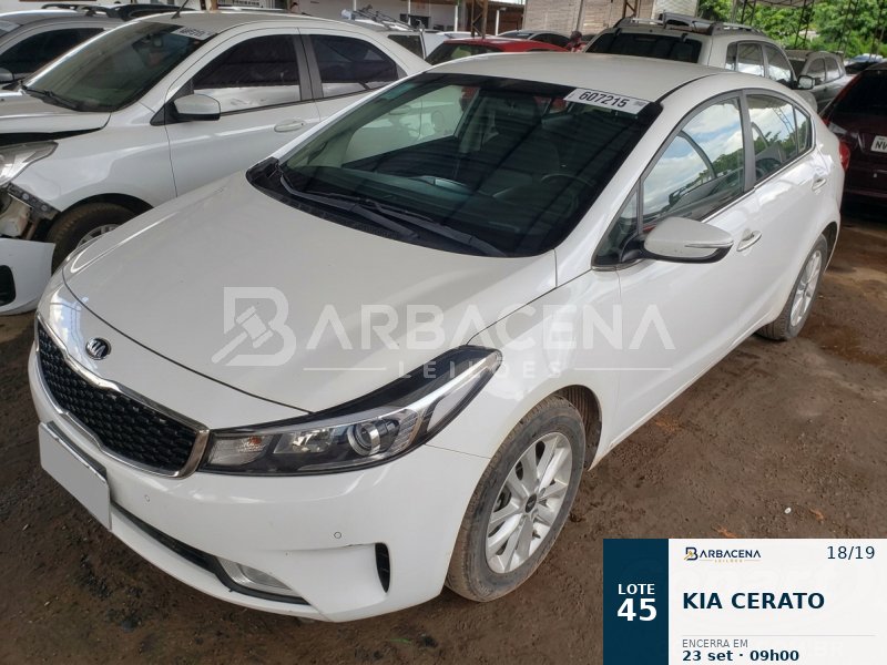 Lote 45